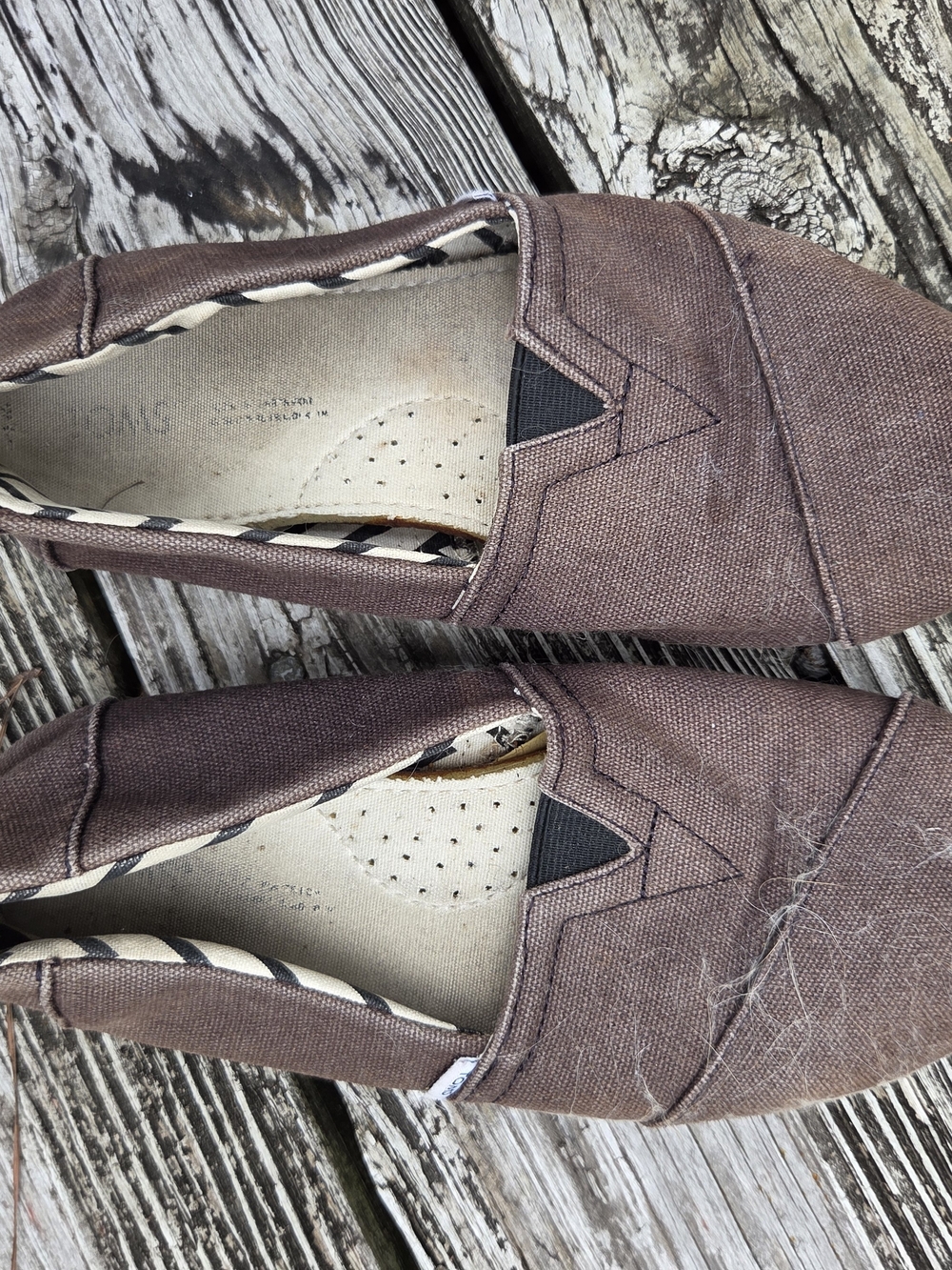 Toms Black Canvas